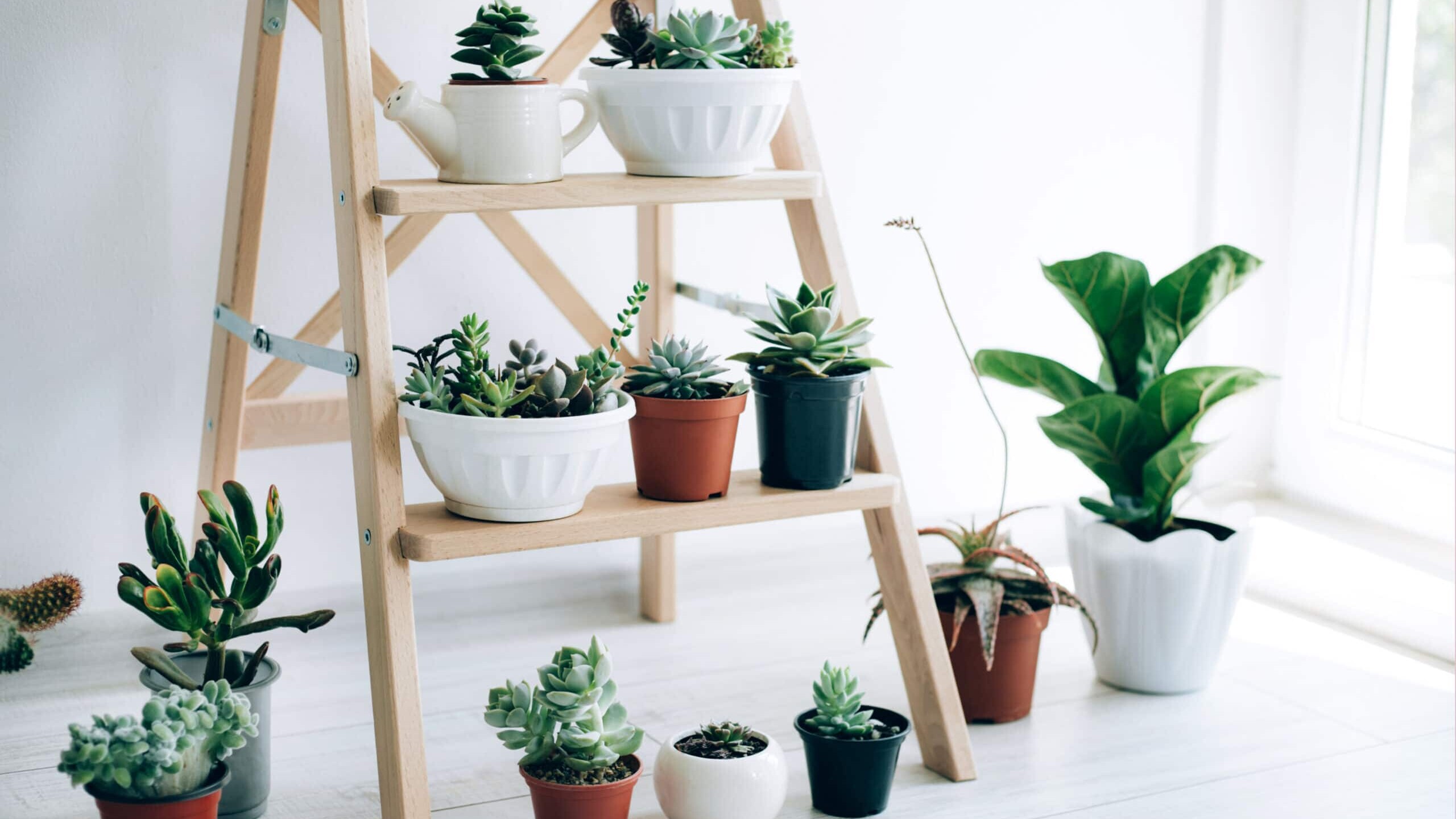 Storage Hacks | Fletcher Homes