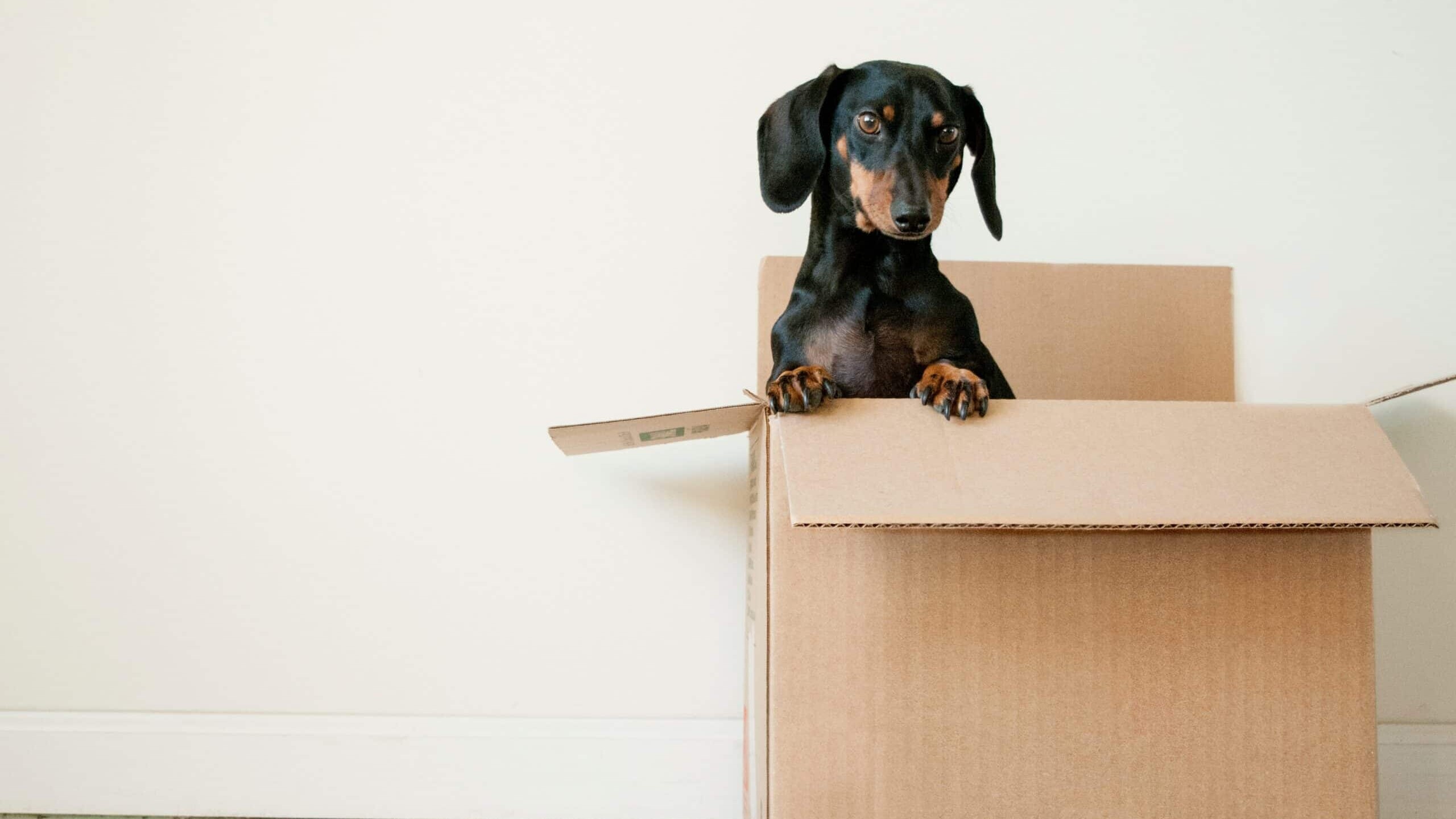 Signs Its Time To Move Home | Fletcher Homes