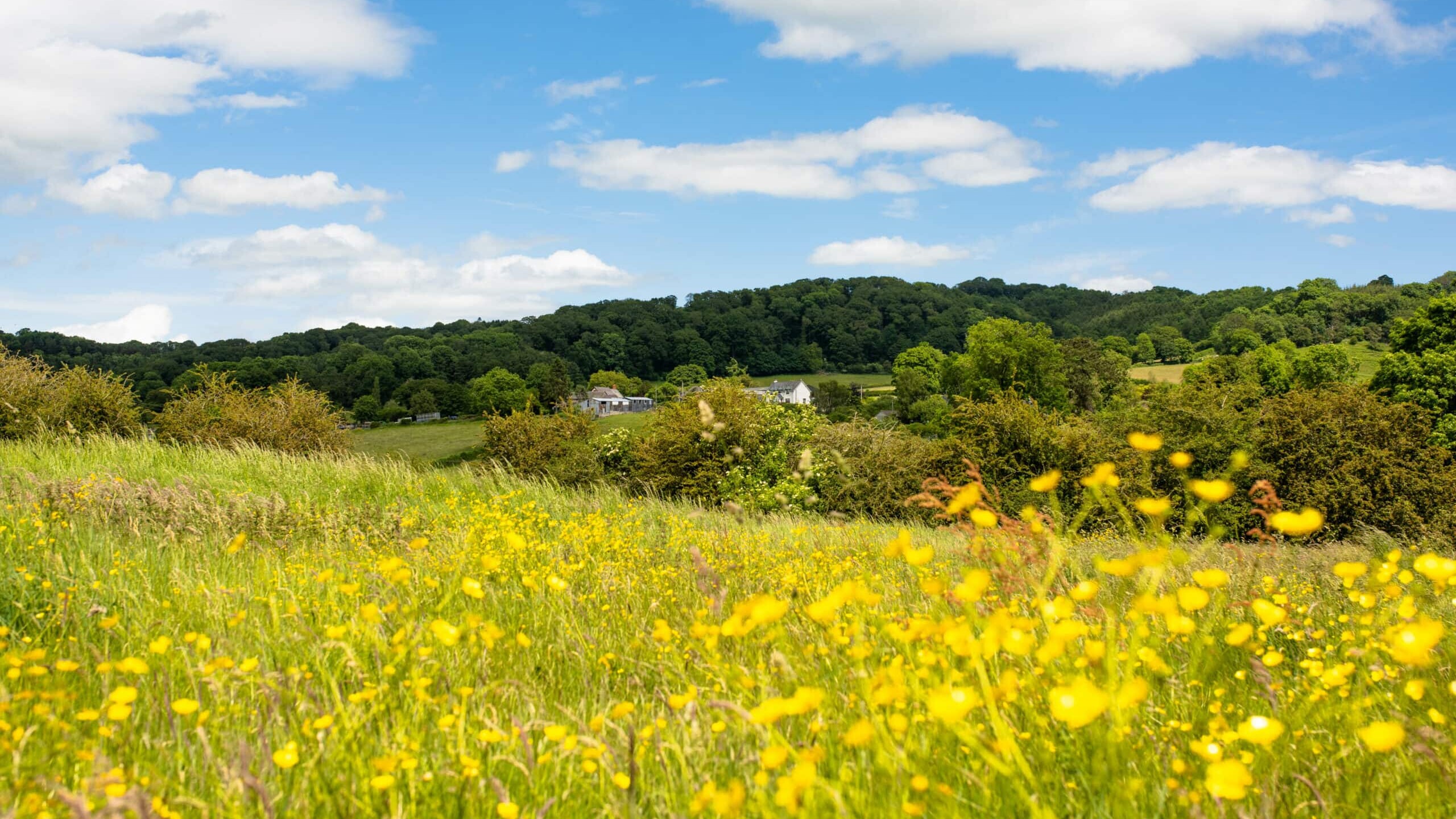 Leintwardine | Fletcher Homes